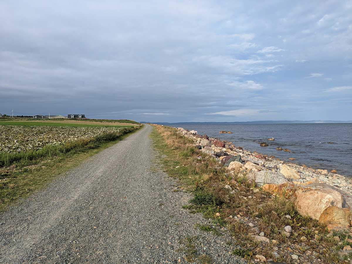 North Conception Bay