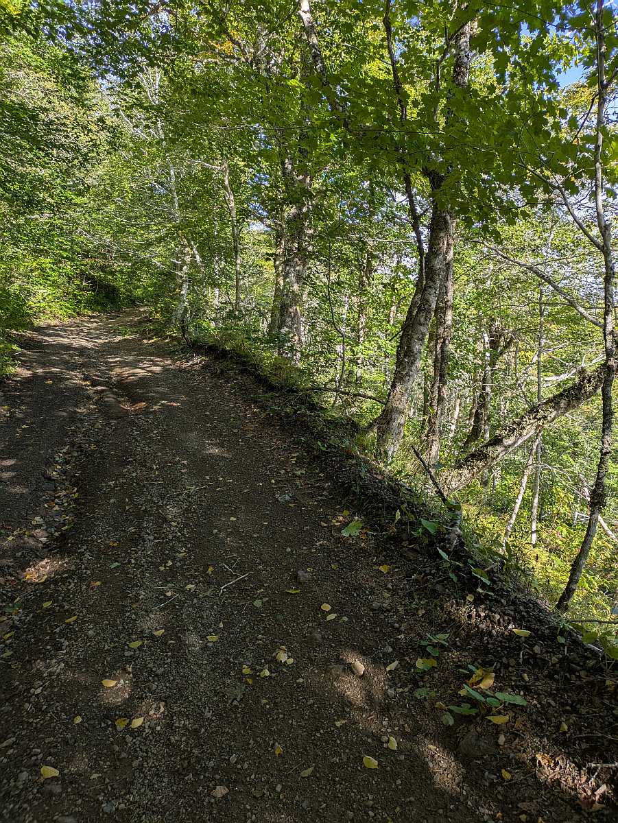Punchy trail