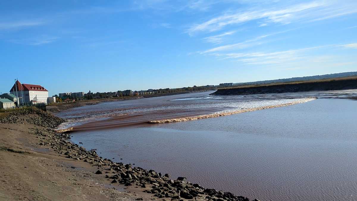 Reverse tide